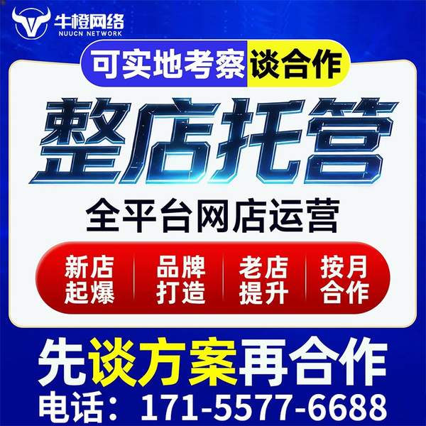 石嘴山电商代运营