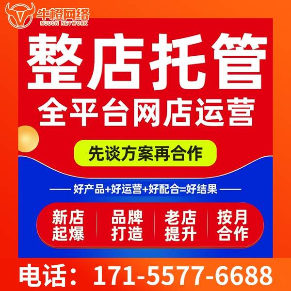 石嘴山电商代运营