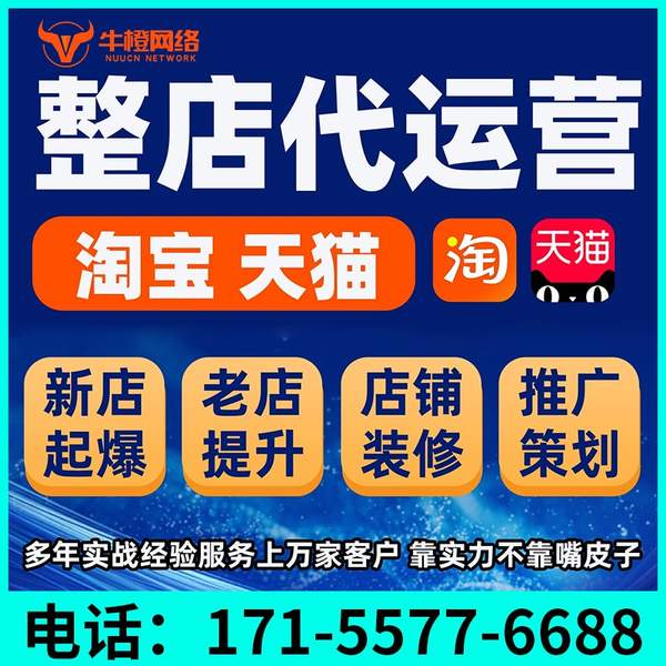石嘴山电商代运营