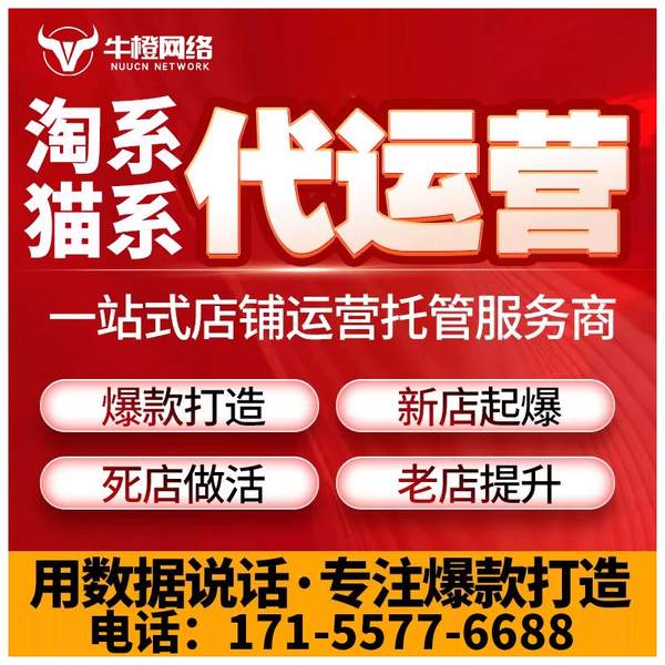 石嘴山电商代运营